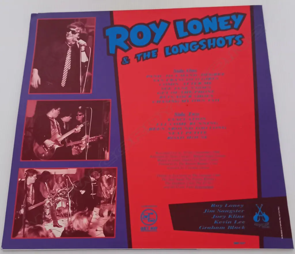Roy Loney And The Longshots, Kick Out The Hammmmons Image 1++